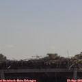 11_20-mast.jpg