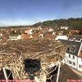 11_25-nest.jpg