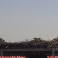 11_30-mast.jpg