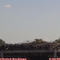 11_40-mast.jpg