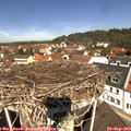 11_40-nest.jpg