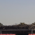 11_45-mast.jpg