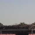 11_50-mast.jpg