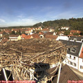 11_55-nest.jpg