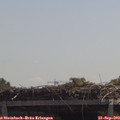 12_05-mast.jpg