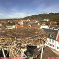 12_05-nest.jpg