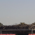 12_10-mast.jpg