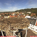 12_15-nest.jpg