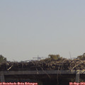 12_20-mast.jpg