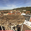 12_25-nest.jpg