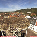 12_30-nest.jpg