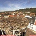 12_35-nest.jpg