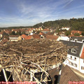 12_40-nest.jpg