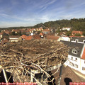 13_10-nest.jpg