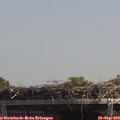 13_15-mast.jpg