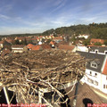 13_15-nest.jpg