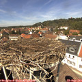 13_20-nest.jpg