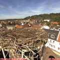 13_25-nest.jpg