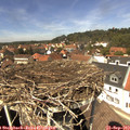 13_30-nest.jpg