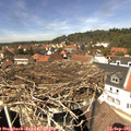 13_35-nest.jpg