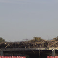 13_40-mast.jpg