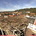 13_40-nest.jpg