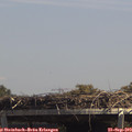 13_45-mast.jpg