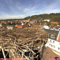 13_45-nest.jpg