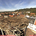 13_50-nest.jpg