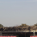 13_55-mast.jpg