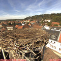 13_55-nest.jpg