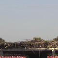 14_00-mast.jpg