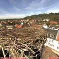 14_00-nest.jpg