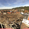 14_05-nest.jpg