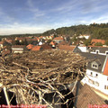 14_10-nest.jpg