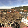 14_15-nest.jpg