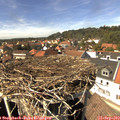 14_30-nest.jpg