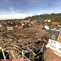14_35-nest.jpg