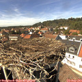 14_40-nest.jpg