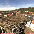 14_45-nest.jpg