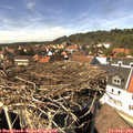 14_50-nest.jpg