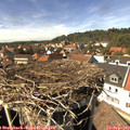 14_55-nest.jpg
