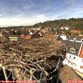 15_00-nest.jpg