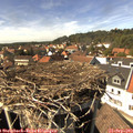 15_05-nest.jpg