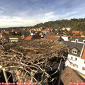 15_10-nest.jpg
