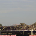 15_20-mast.jpg