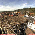 15_20-nest.jpg