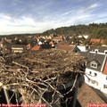 15_25-nest.jpg
