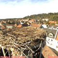 15_30-nest.jpg
