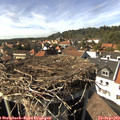 15_35-nest.jpg